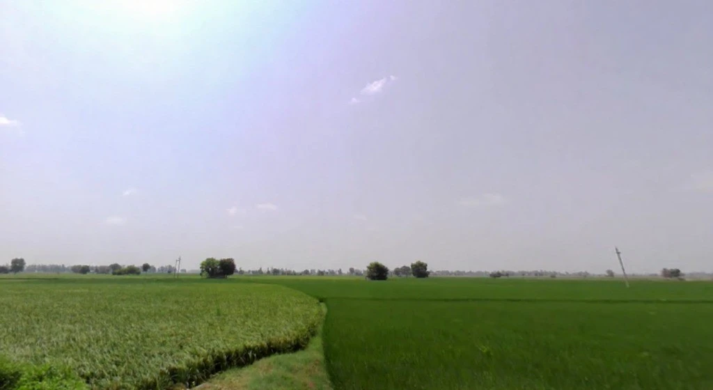 MXHW+9F2, Meerut Rd, Sector 14, Karnal, Haryana 132001, India