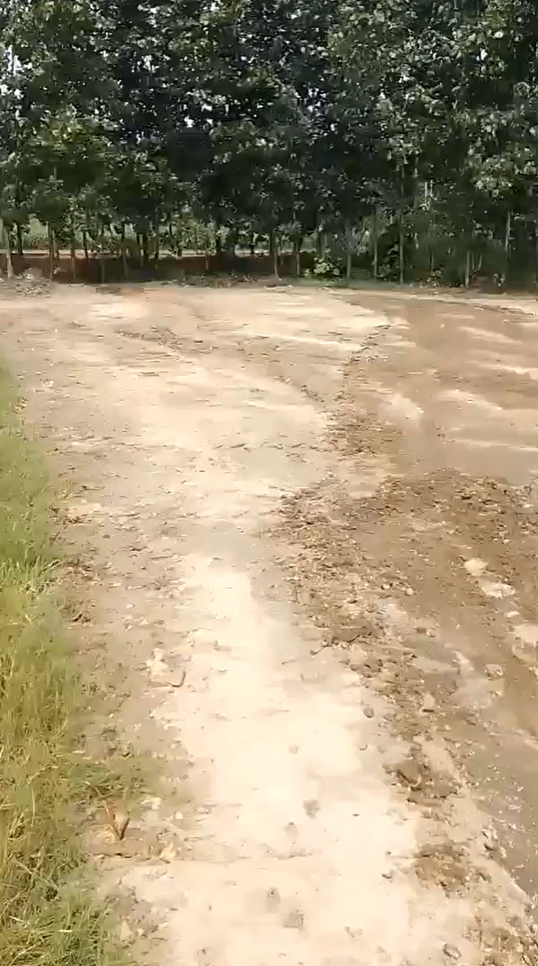 HVWX+R6 Tugalakpur, Muzaffarnagar, Uttar Pradesh, India