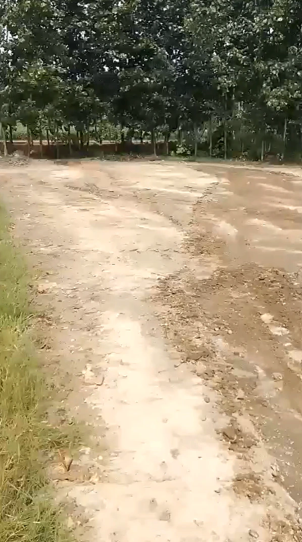 HVWX+R6 Tugalakpur, Muzaffarnagar, Uttar Pradesh, India - Photo 3