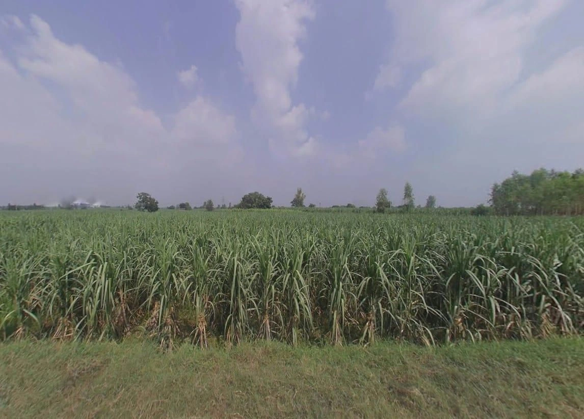 6H64+GC Pithlokhar, Uttar Pradesh, India preview 2