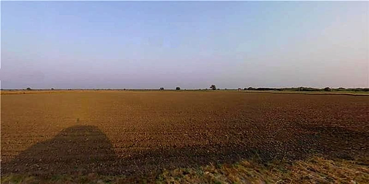 Plasva, Gujarat 362015, India