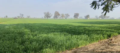 Barnagar, Madhya Pradesh 456771, India preview 3
