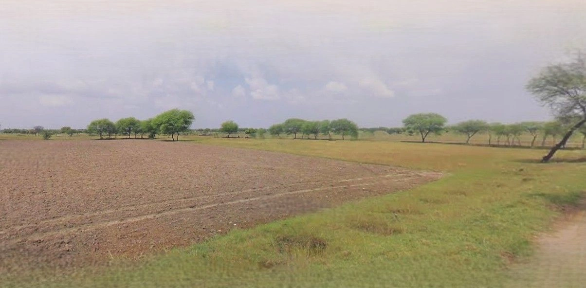 Hasanpur, Uttar Pradesh 244241, India