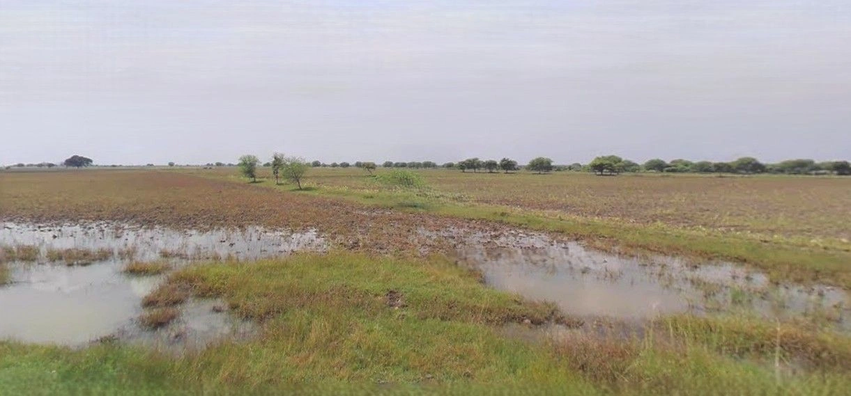 Chhapna, Uttar Pradesh 244255, India