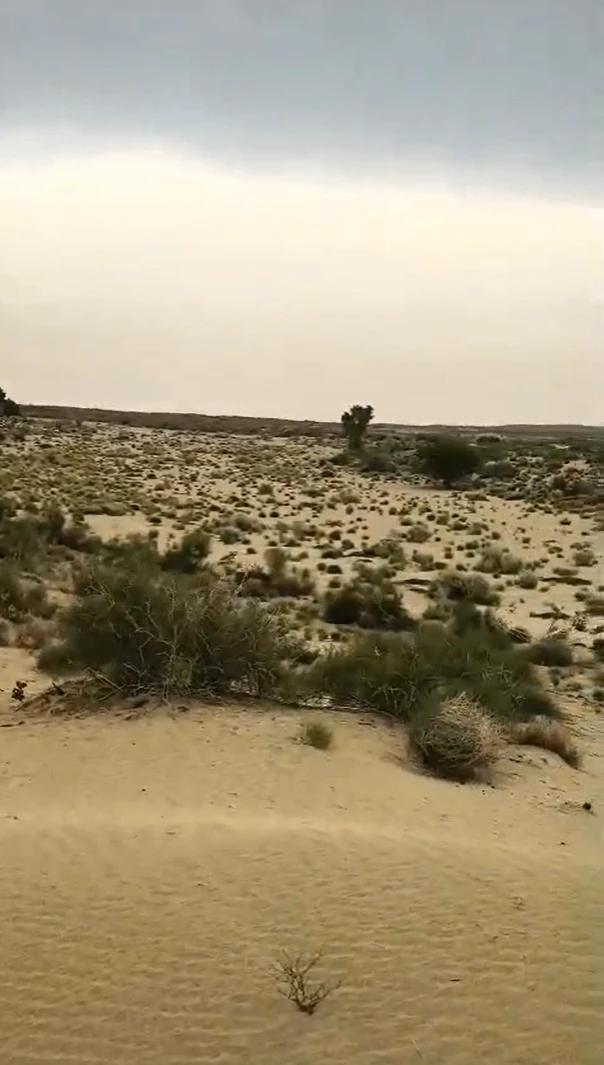 76J6+4GJ, Bikaner, Kabrawala, Rajasthan 334305, India