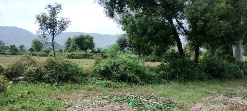 Marwahi, Chhattisgarh 495118, India
