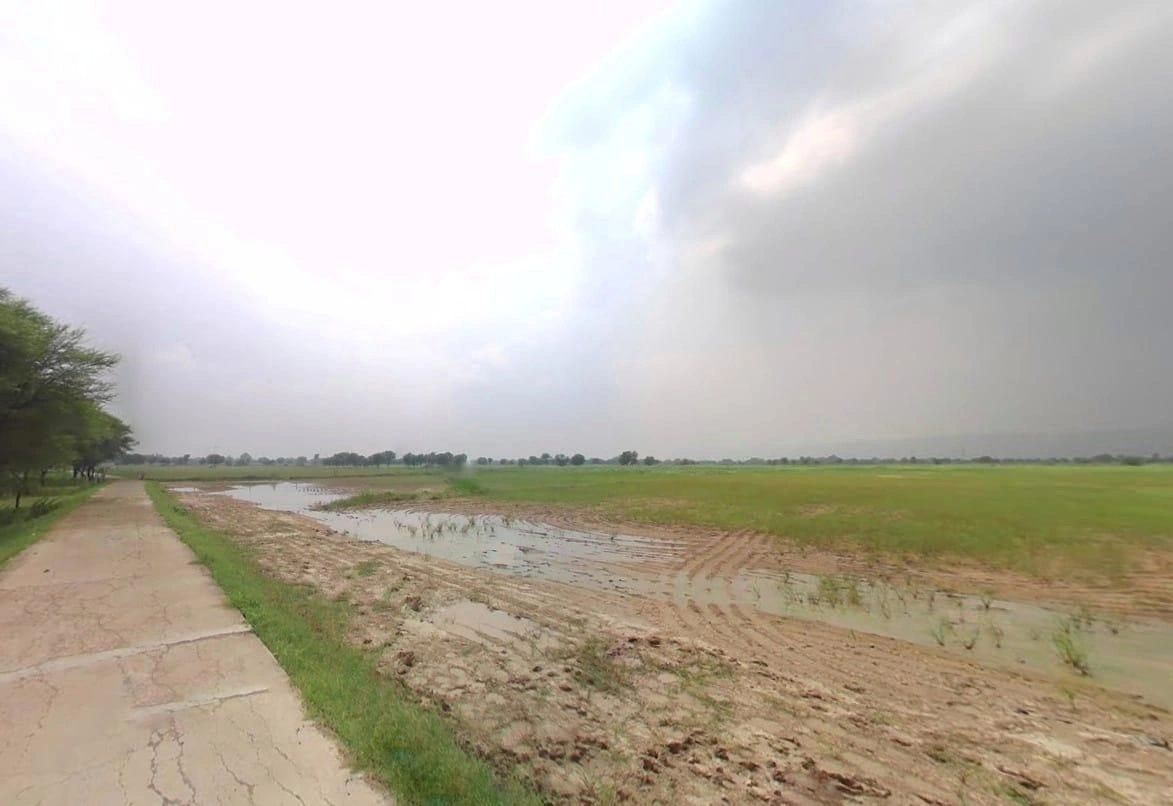 3GC8+4C2, Rambas, Rajasthan 303313, India