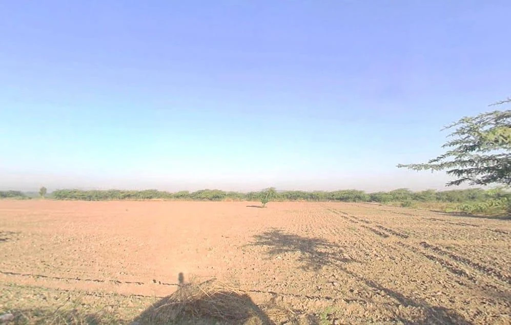 Pali, Rajasthan 306401, India