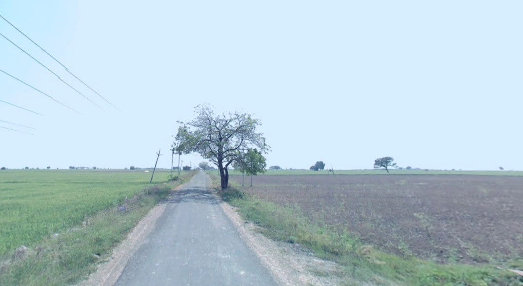 Dangrakheda, Madhya Pradesh, India