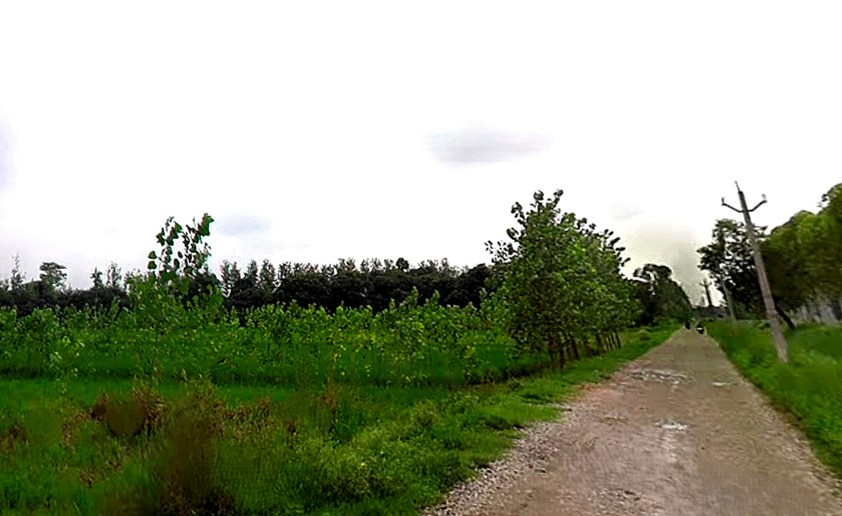 Chataki, Uttar Pradesh 247121, India