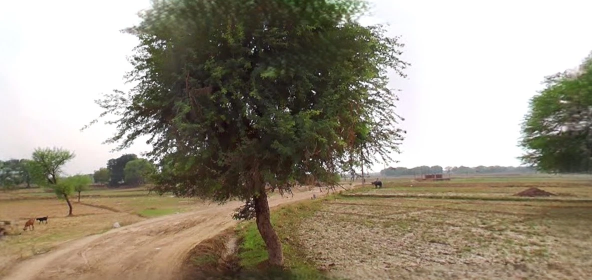 Bahadurgarh, Haryana, India