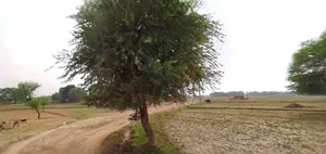 Bahadurgarh, Haryana, India preview 2