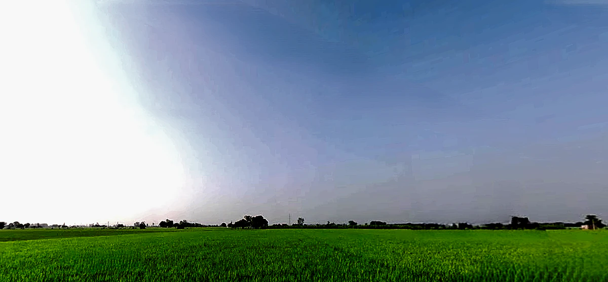 Rajpura, Punjab, India