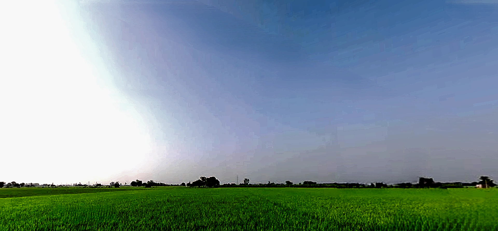 Rajpura, Punjab, India