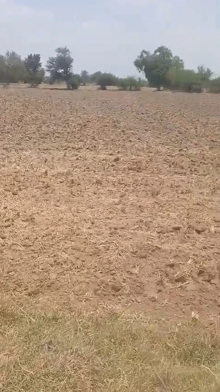 5RR5+W5, Kantaian, Uttar Pradesh 261304, India