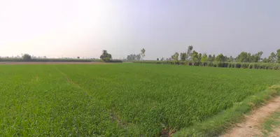 Banda, Uttar Pradesh 210001, India preview 3