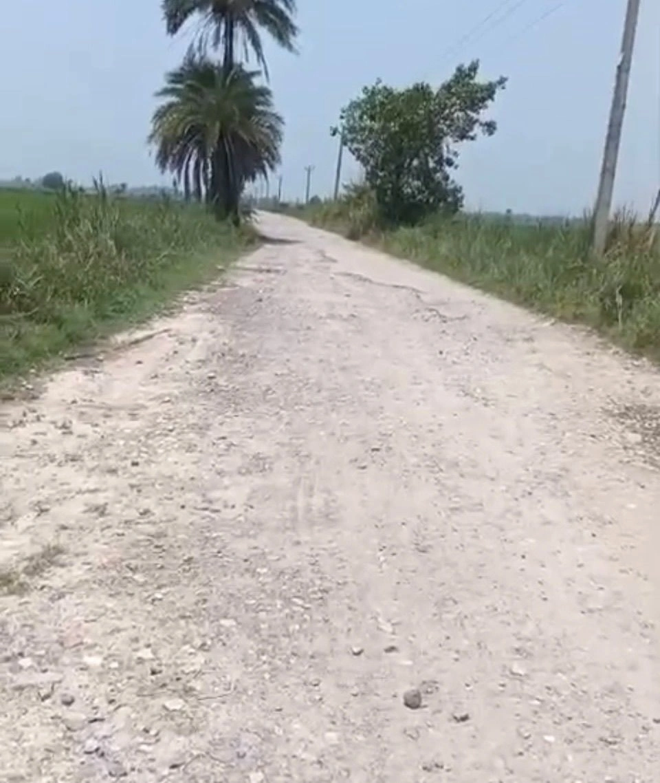 Mawana, Uttar Pradesh, India