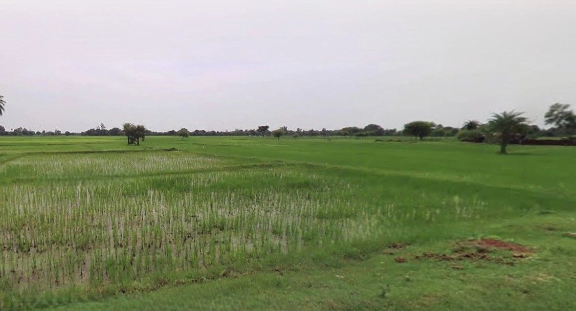 Kaimganj, Uttar Pradesh 209502, India preview 2