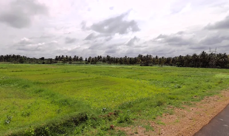 Heggadadevankote, Karnataka 571114, India preview 2