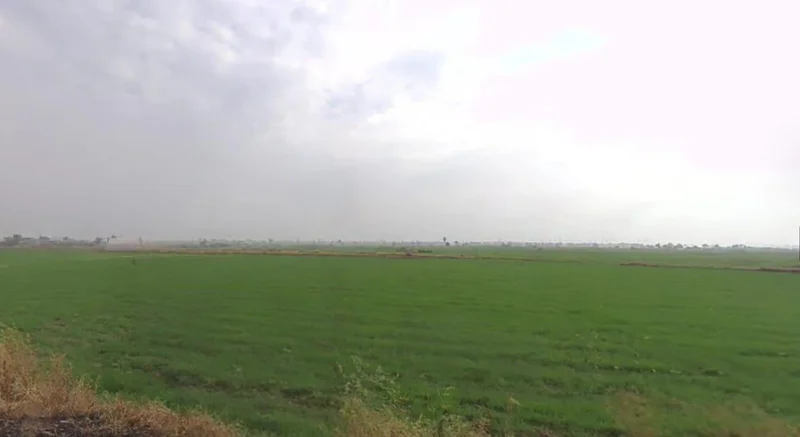 Balrampur, Madhya Pradesh 464114, India preview 2