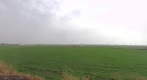 Balrampur, Madhya Pradesh 464114, India preview 2