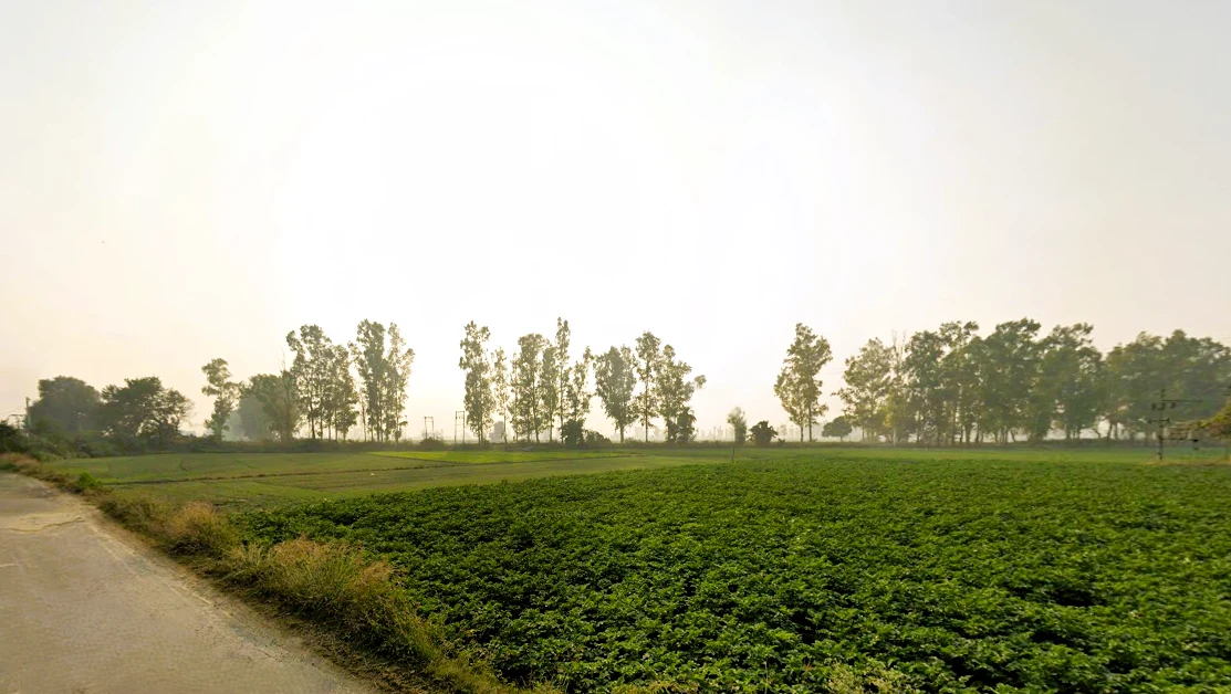 Nissing, Haryana 132024, India