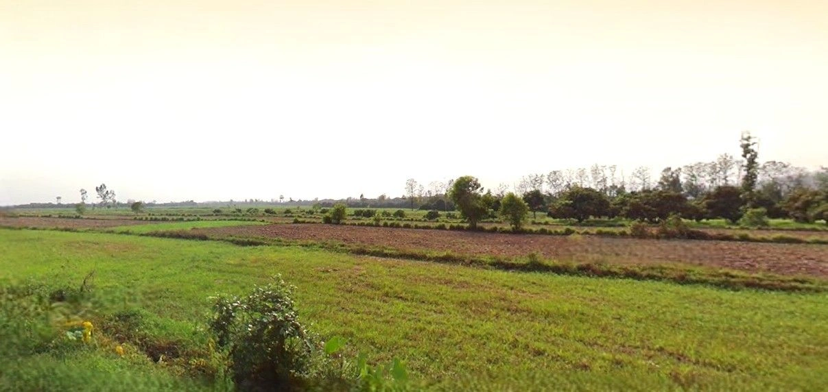 Bazpur, Uttarakhand 262401, India