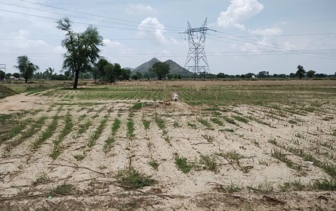 Dheeroda, Rajasthan, India
