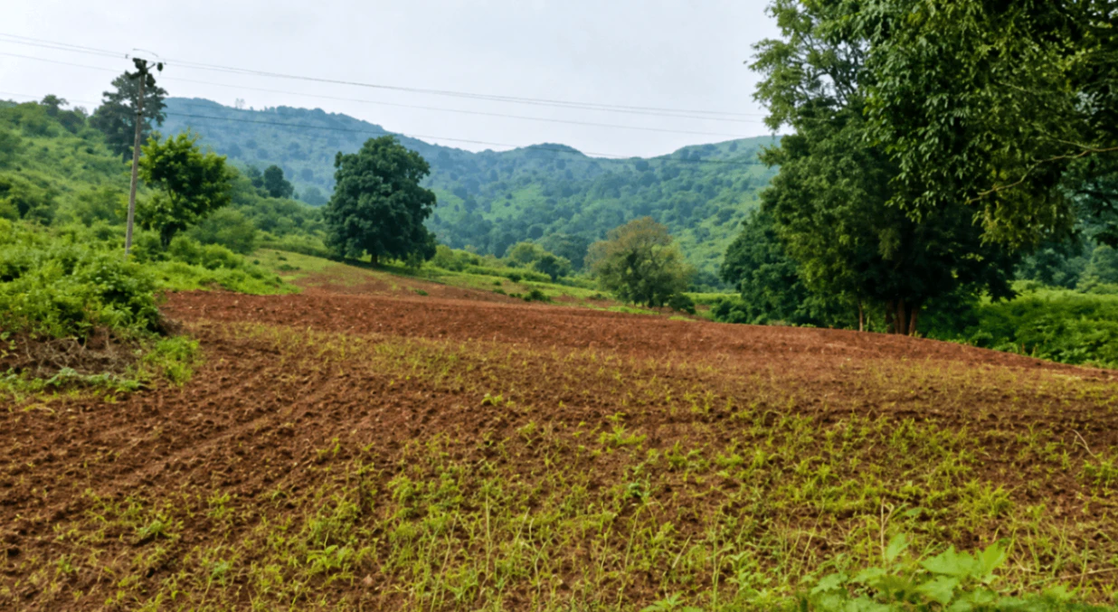 Dasamantpur, Koraput, Odisha 764043, India