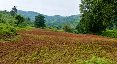 Dasamantpur, Koraput, Odisha 764043, India preview 3