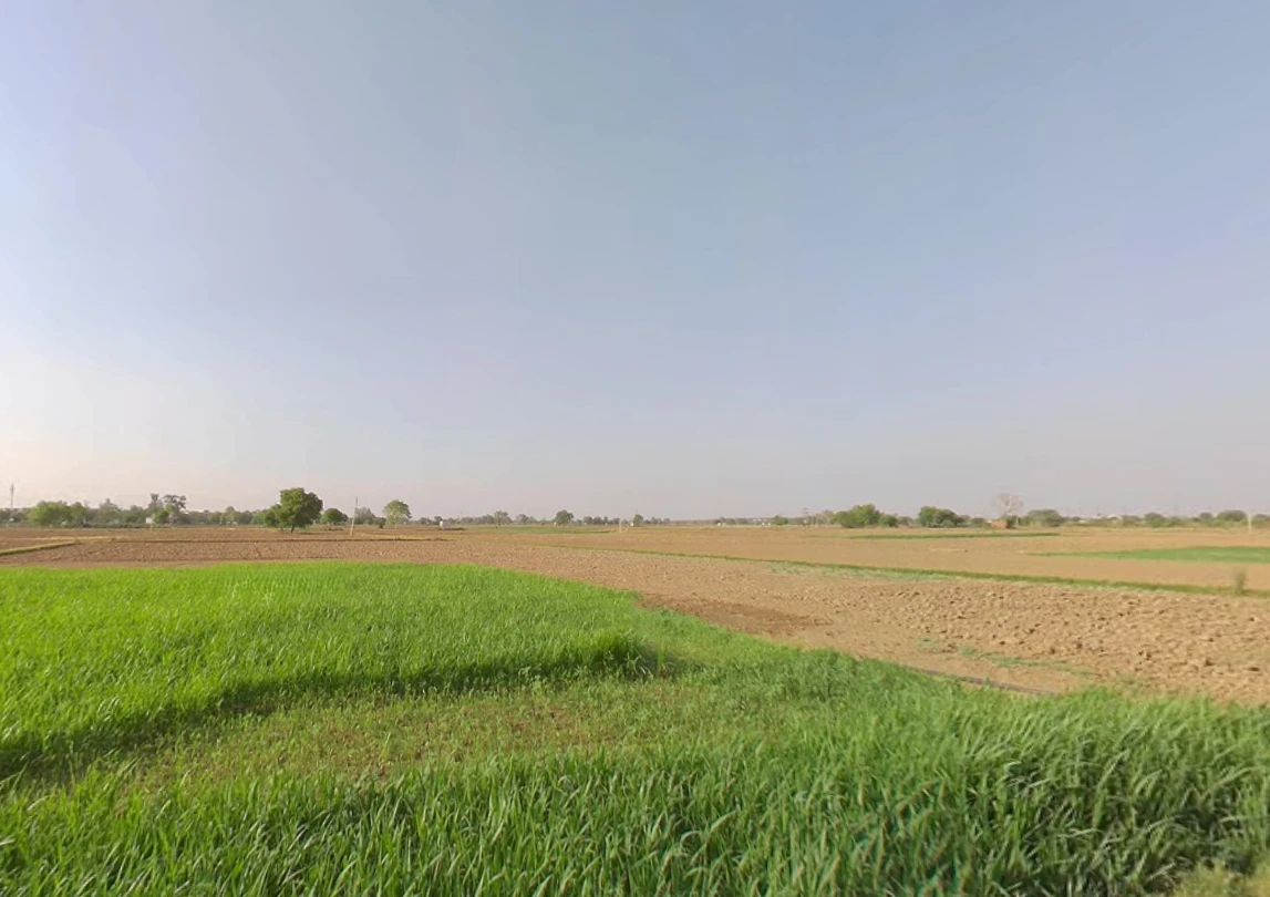 Rewari, Haryana 123401, India