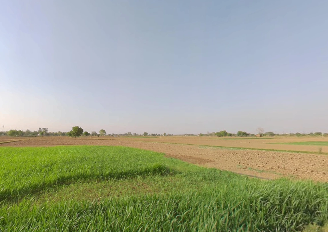 Rewari, Haryana 123401, India