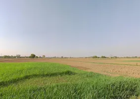 Rewari, Haryana 123401, India preview 2
