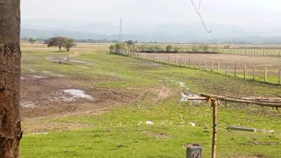 Durang, Assam 782403, India preview 2