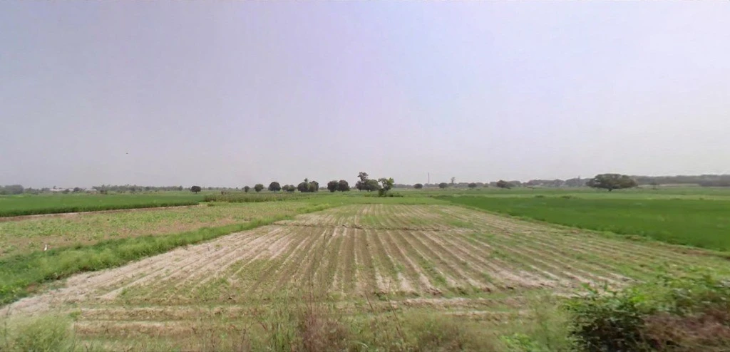 Dikadla, Haryana, India