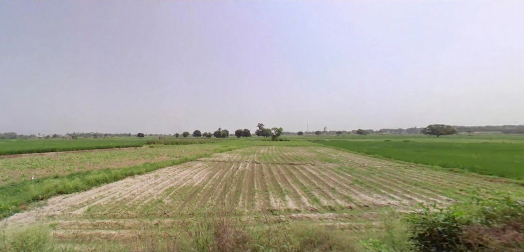 Dikadla, Haryana, India