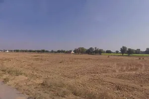 Chaksu, Rajasthan 303901, India preview 3