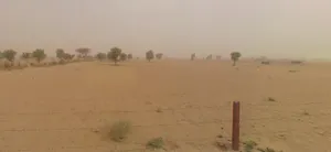 Norangdesar, Rajasthan 334022, India preview 3