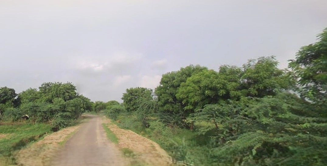 Barnagar, Madhya Pradesh 456771, India preview 2