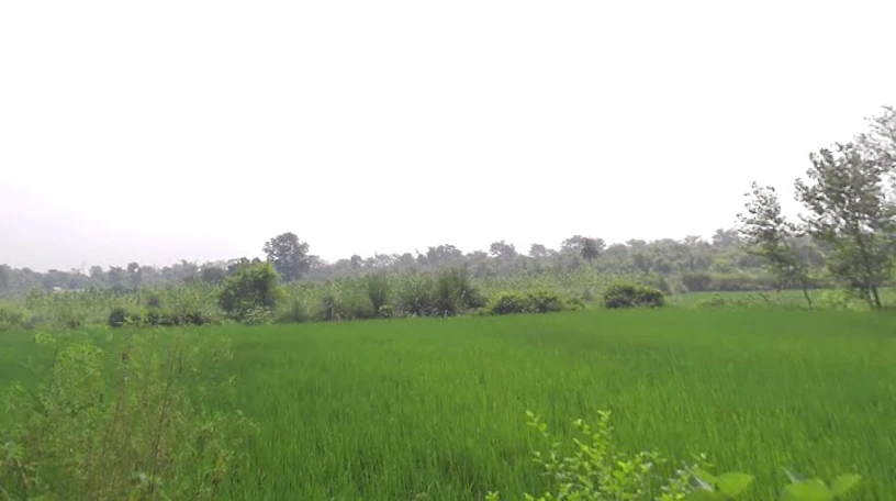Dadwa, Uttar Pradesh 247129, India