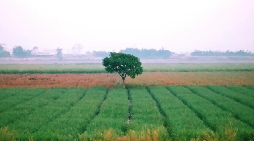 Sawarda, Rajasthan 303348, India