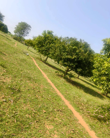 F44H+VCM, Ranga Reddy, Shankarpalle, Telangana 501203, India - Photo 1