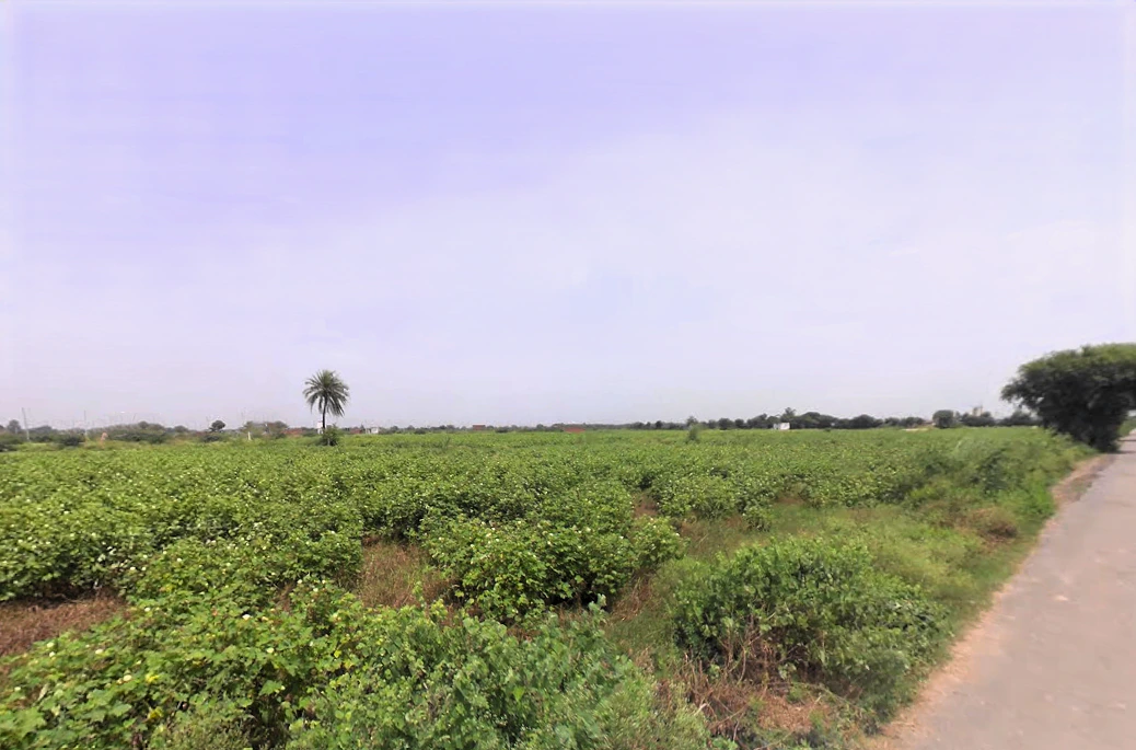 Saveli, Haryana 121105, India