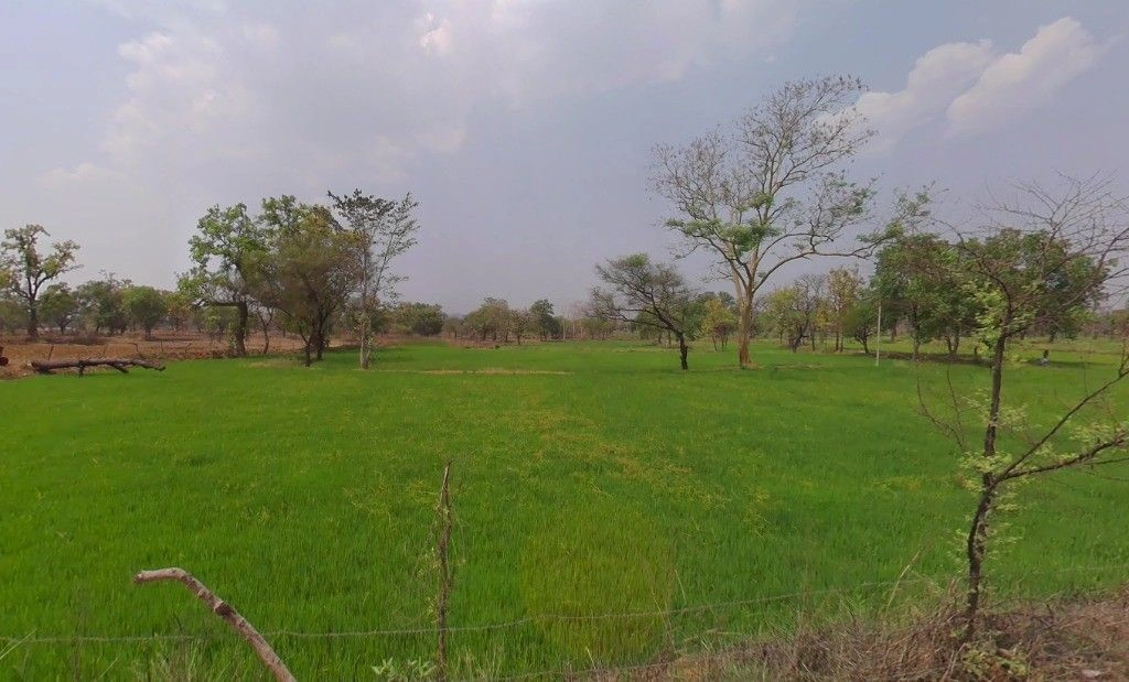 Railway Colony, Dongargarh, Chhattisgarh 491445, India preview 2