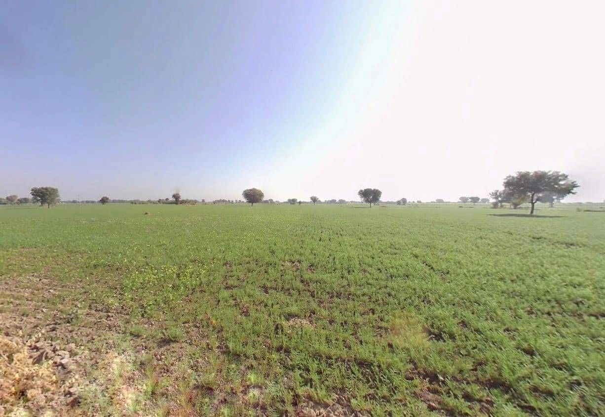 Dudu, Rajasthan 303008, India