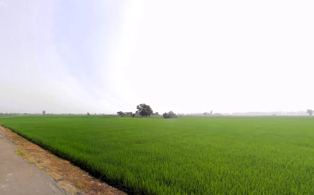 Nissing, Haryana 132024, India preview 2