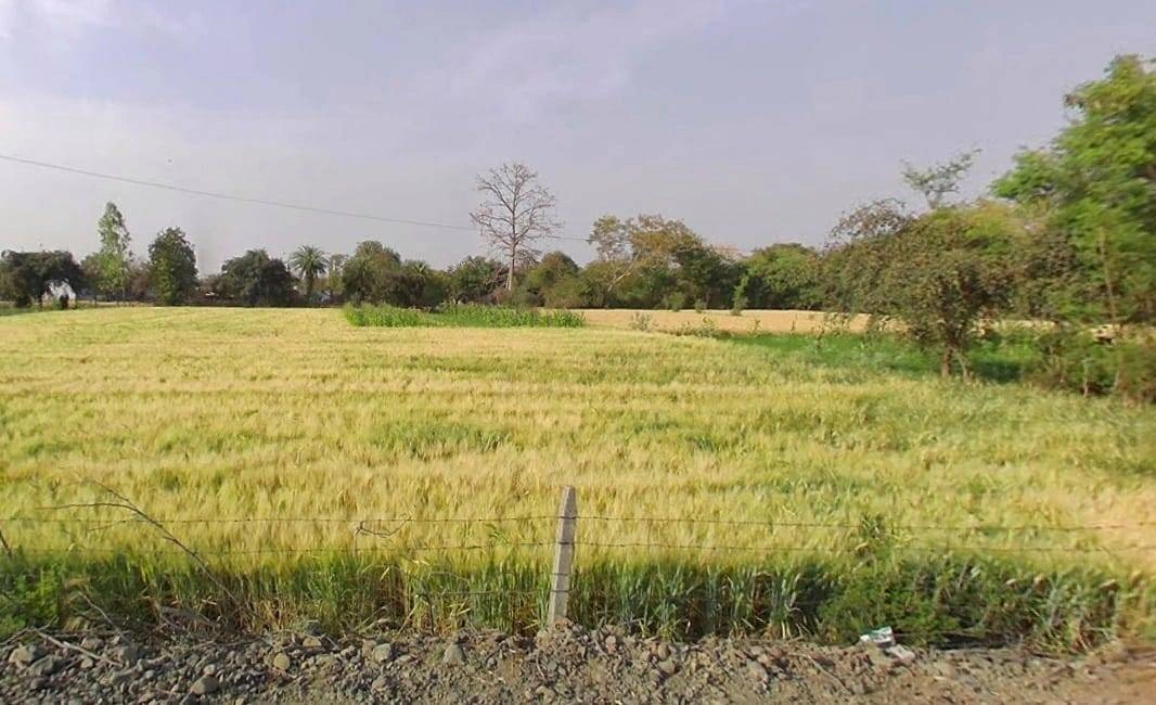 JXC2+W9 Chaksu, Rajasthan, India