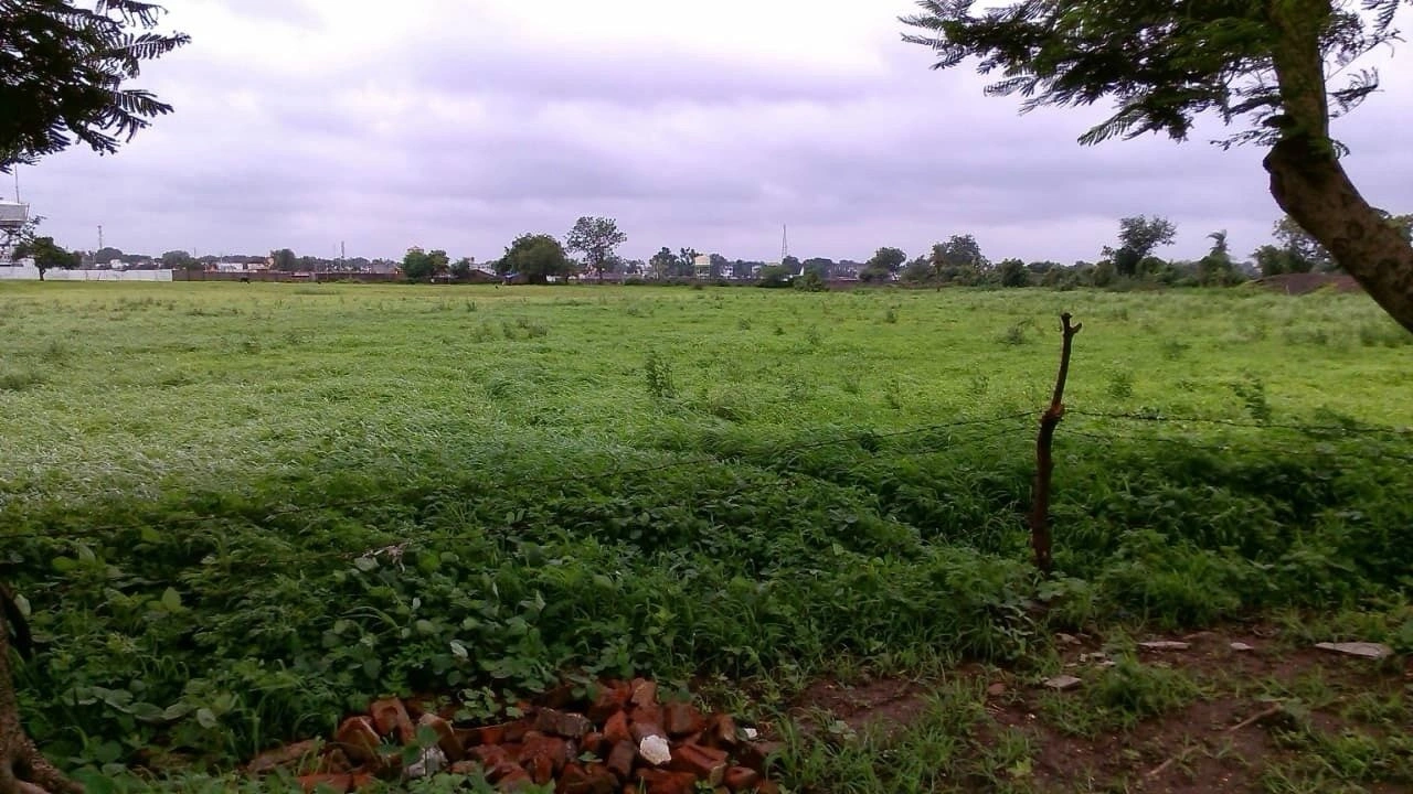 Chichgohan, Khandwa, Madhya Pradesh 450771, India