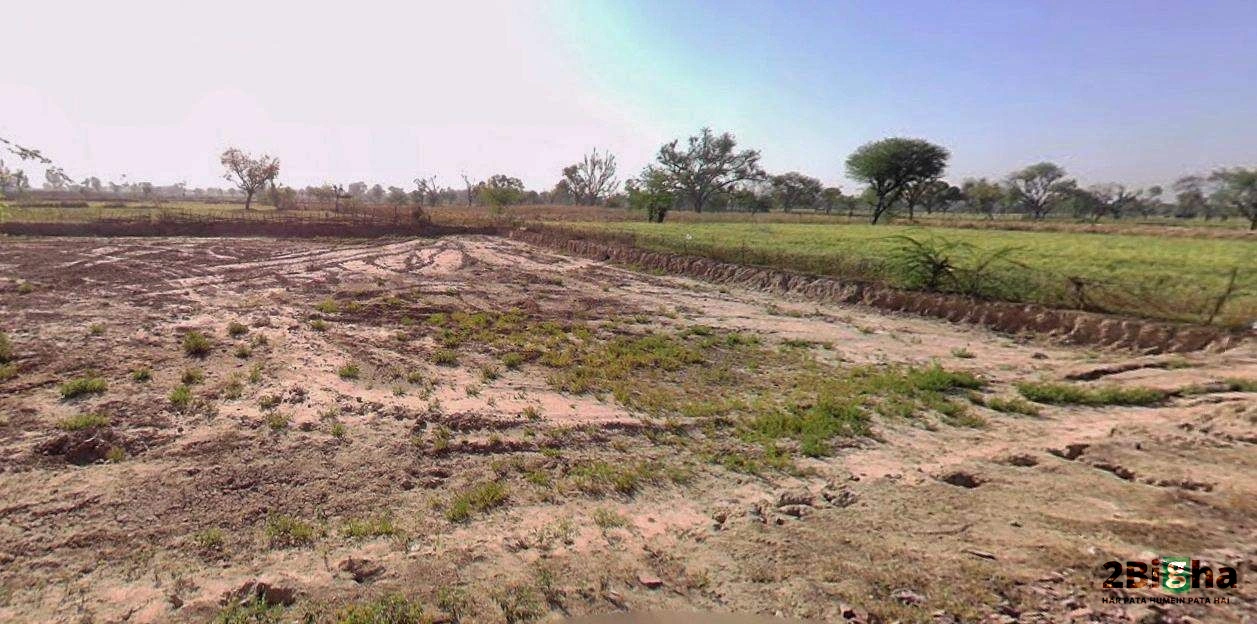 X3RM+RGM, Kumashpur, Sonipat, Haryana 131021, India