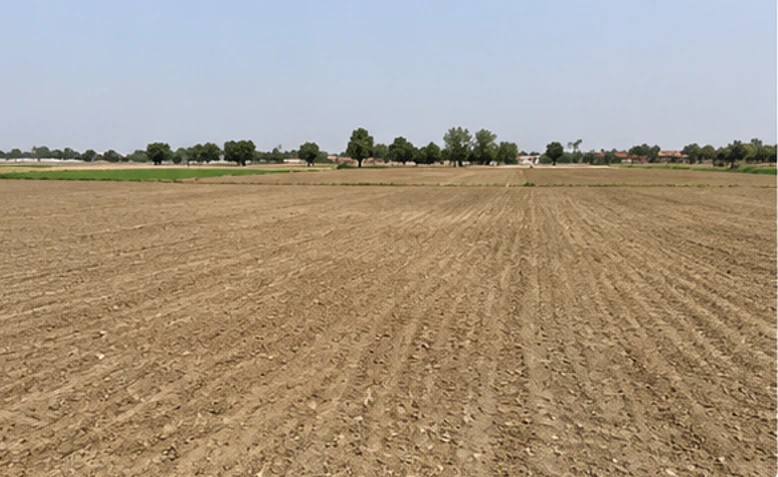 Chatauli, Sahibzada Ajit Singh Nagar, Punjab 140103, India